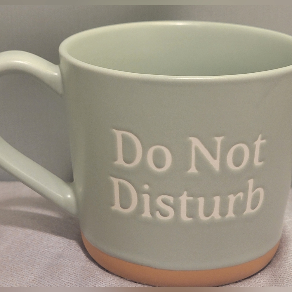 Do Not Disturb Coffee Tea Mug Cup Threshold Stoneware Mint & Brown